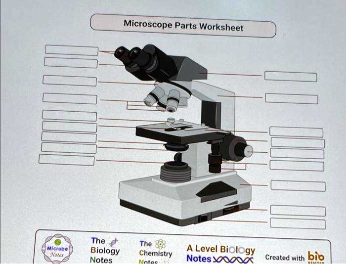 labeling microscope worksheet