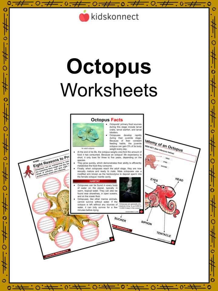 octopus worksheets