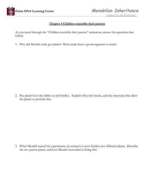 learning lab worksheets