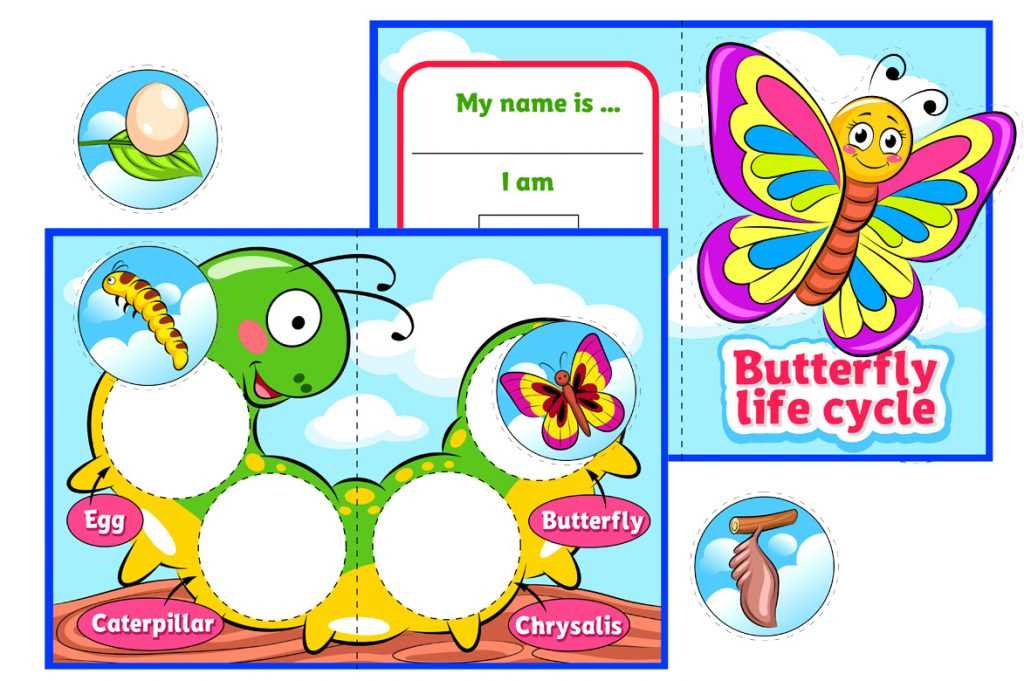 life cycle of a butterfly worksheets