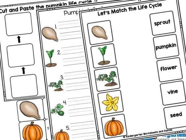 life cycle of a pumpkin worksheet