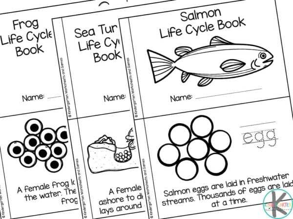 life cycle of fish worksheet