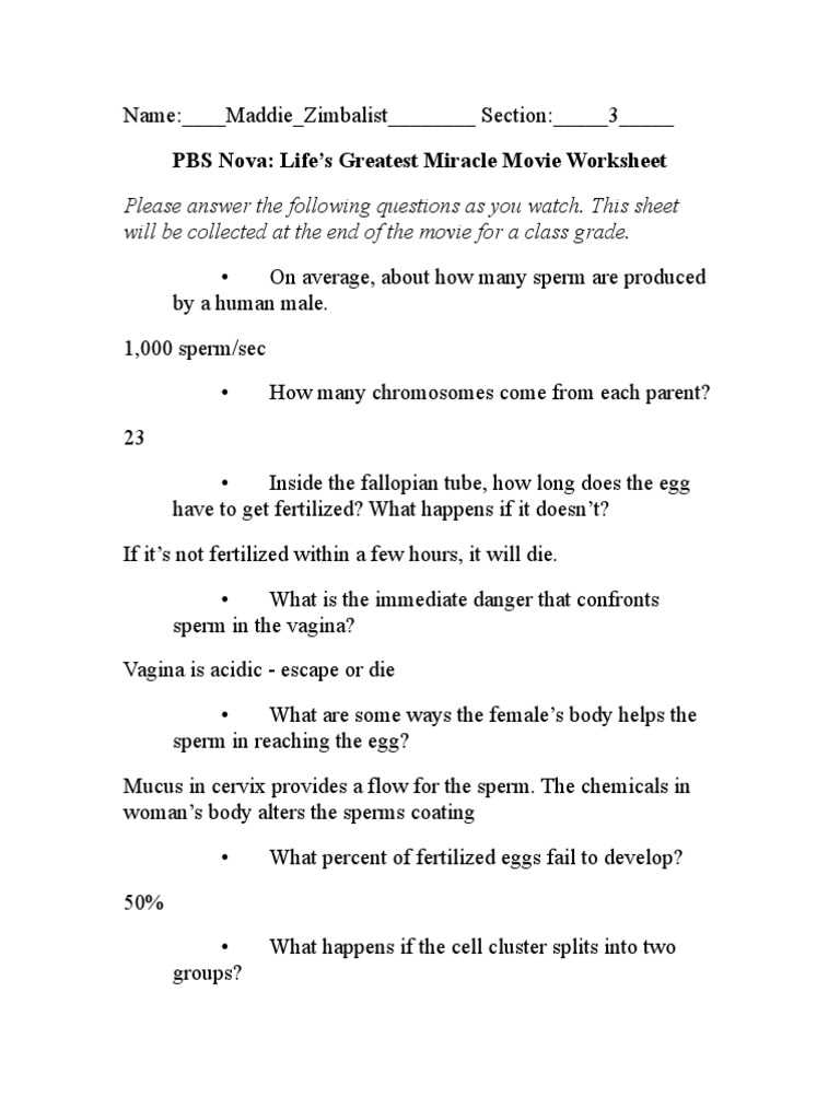 lifes greatest miracle worksheet