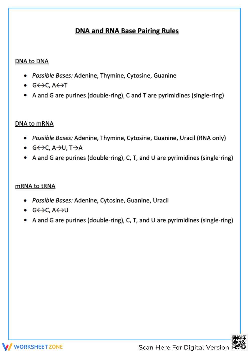 dna base pairing worksheet