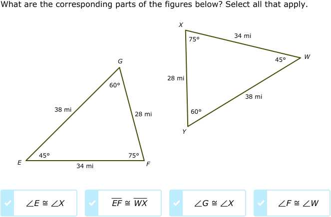 congruent shapes worksheet grade 8