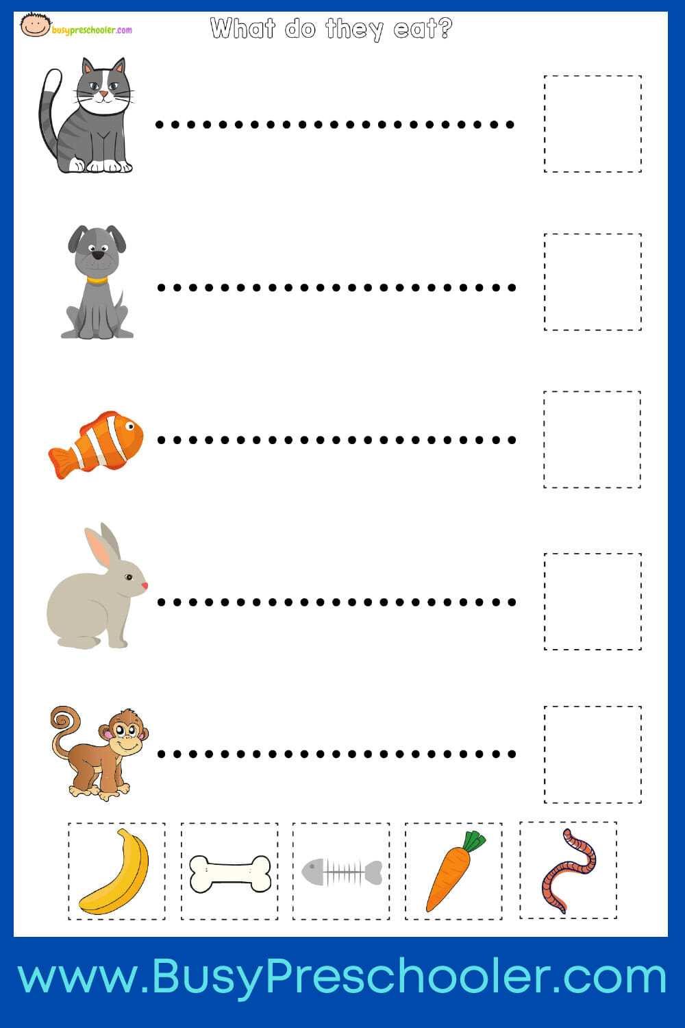 food animals eat worksheet