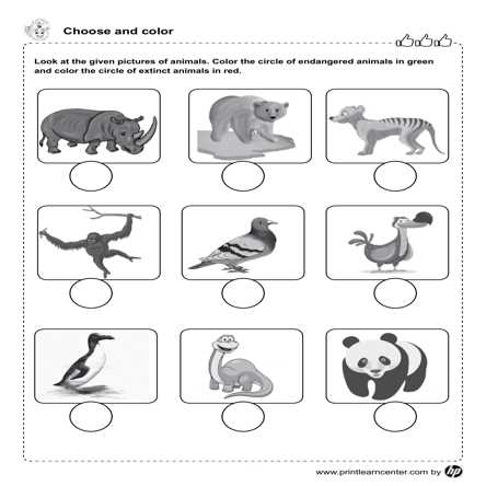 endangered animals worksheets for kindergarten