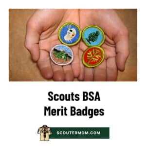 merit badge family life worksheet