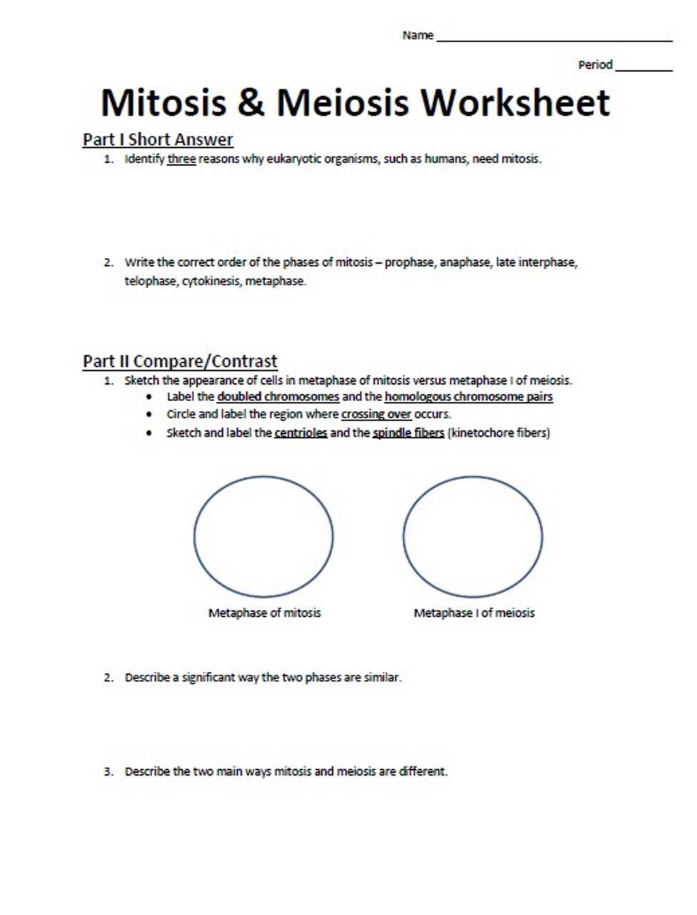 mitosis meiosis worksheet