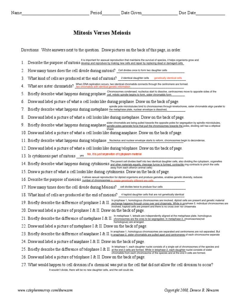 mitosis vs meiosis worksheet