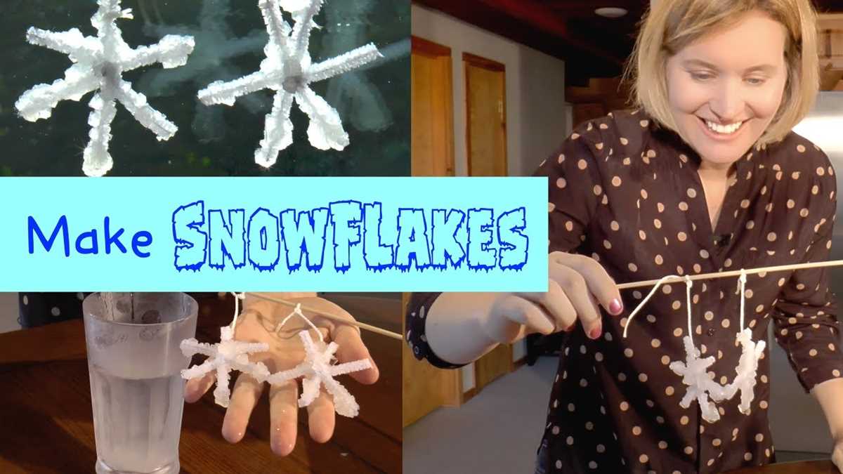 borax snowflake lab worksheet