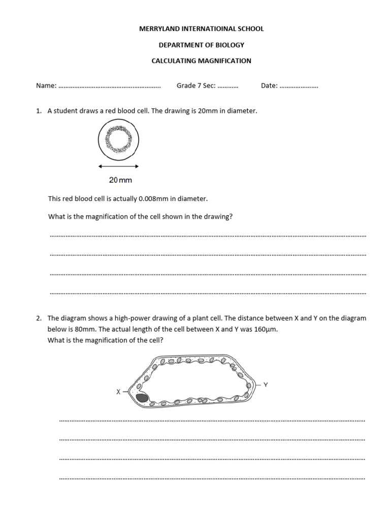 cell magnification worksheet