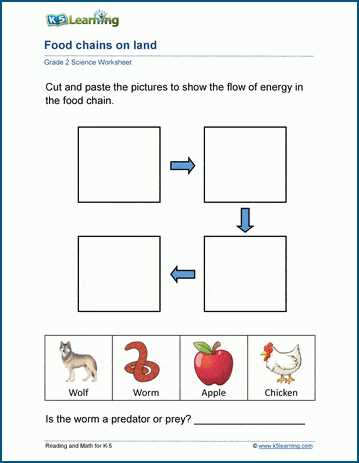 foodchain worksheet