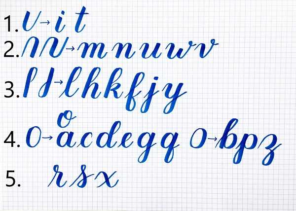 calligraphy for beginners worksheets