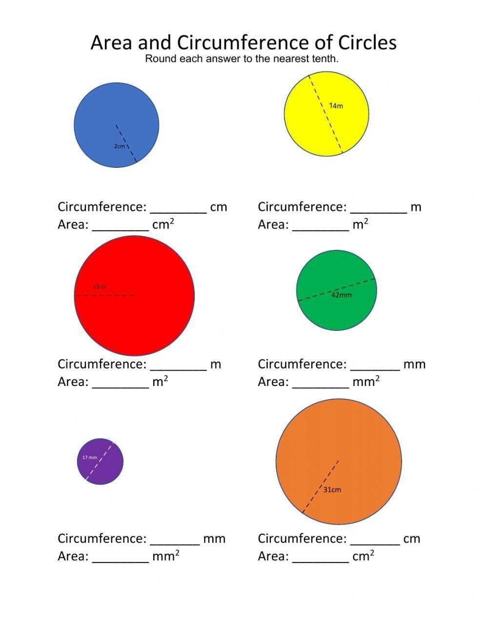 circles area worksheet