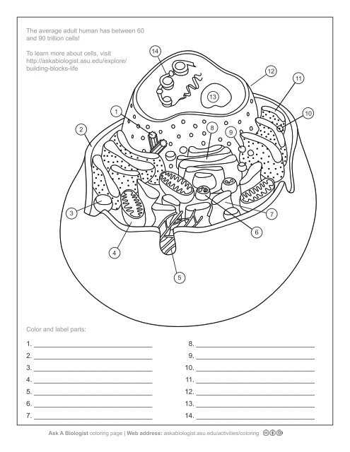 a tour of the cell worksheet