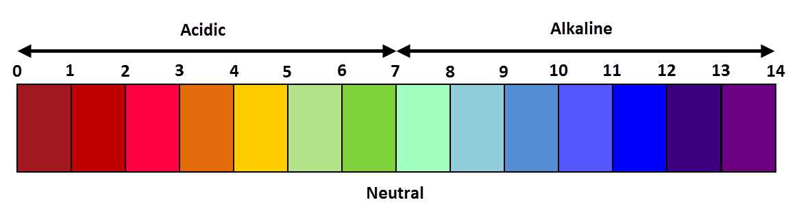 neutralisation reactions worksheet