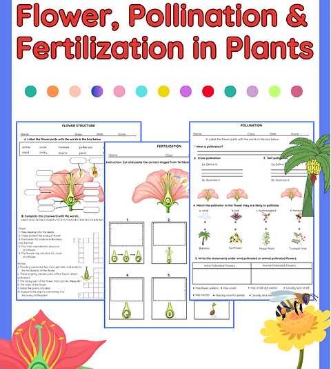 flower structure and reproduction worksheet