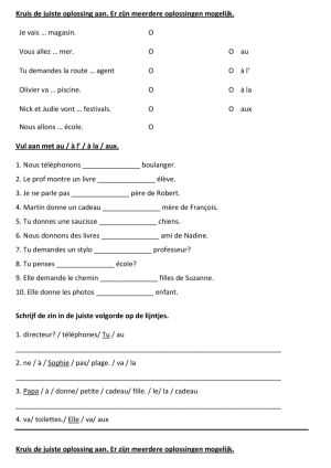 adjective possessive french worksheet