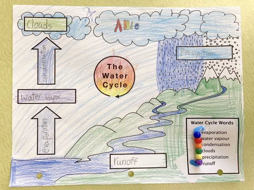 water cycle worksheet