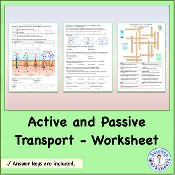 active & passive transport worksheet