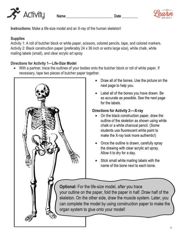 bone growth worksheet