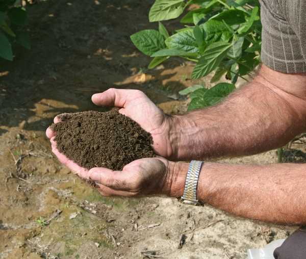 fertilizers and soil amendments worksheet