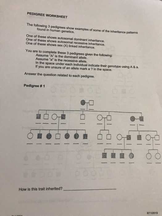 sex linked pedigree worksheet