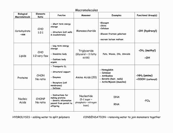 biological compounds worksheet