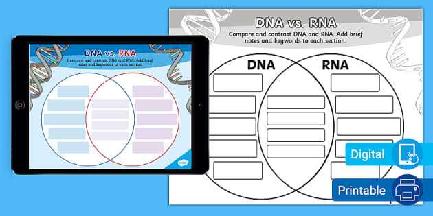 biology mr hoyle rna worksheet