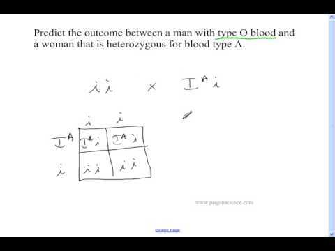 blood type practice worksheet