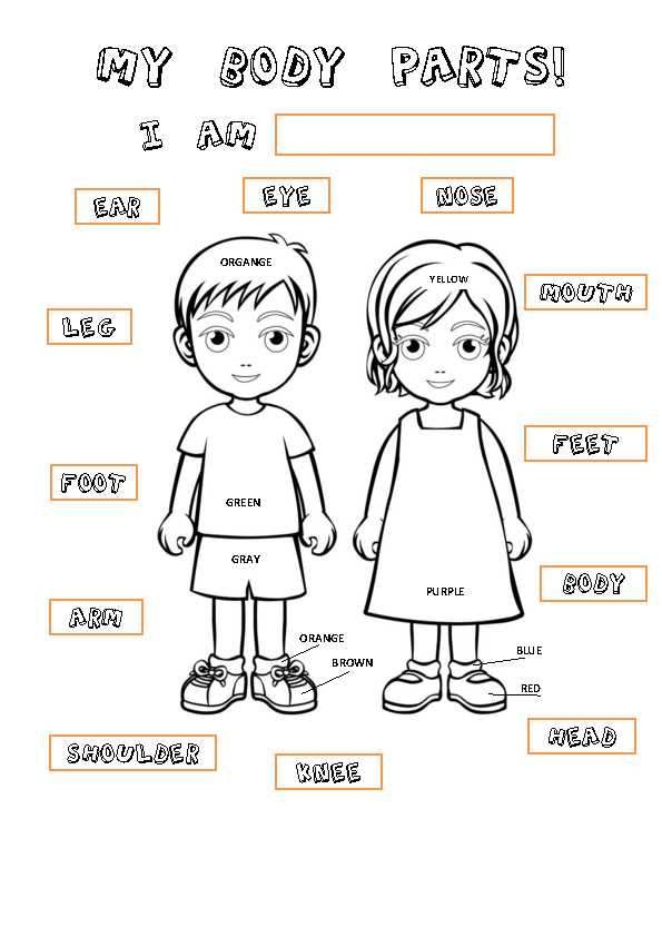 esl parts of the body worksheet