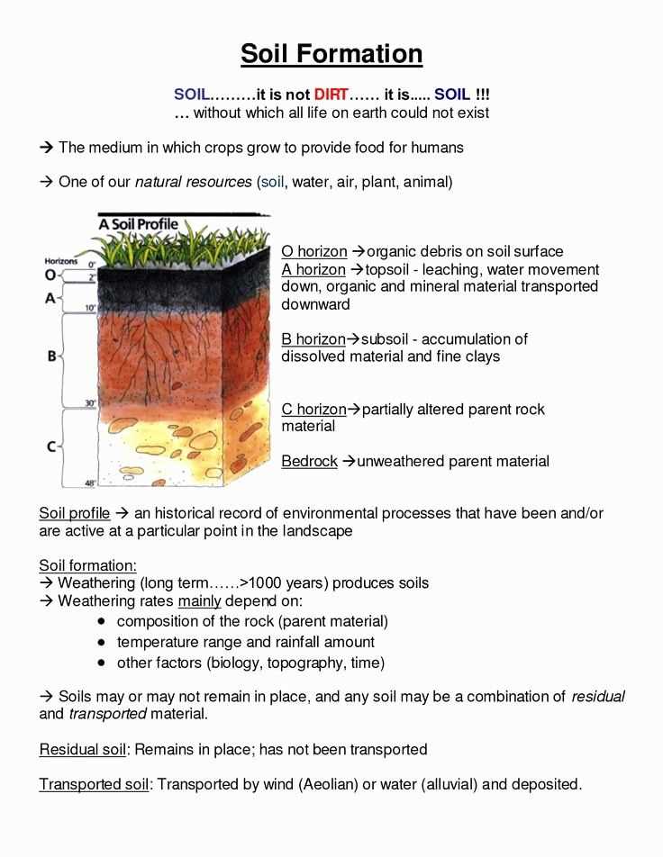 soil formation worksheet