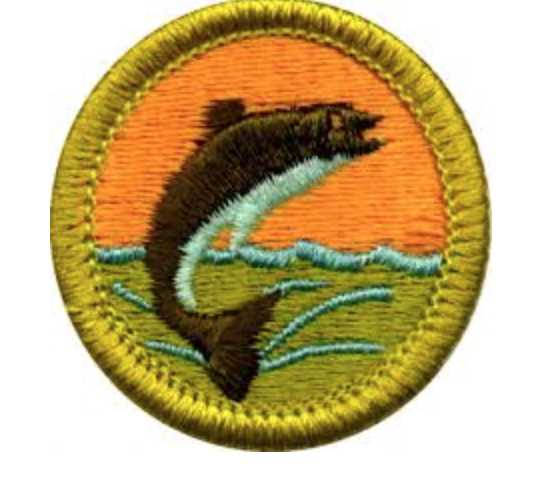 fly fishing merit badge worksheet