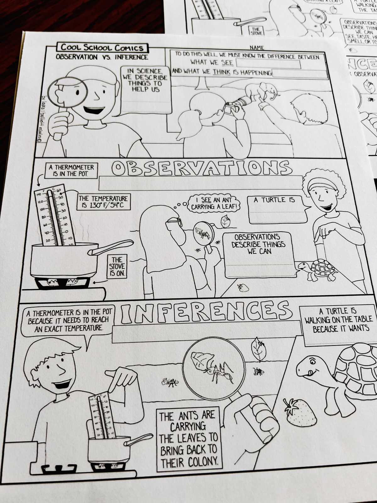 observation vs inference worksheet
