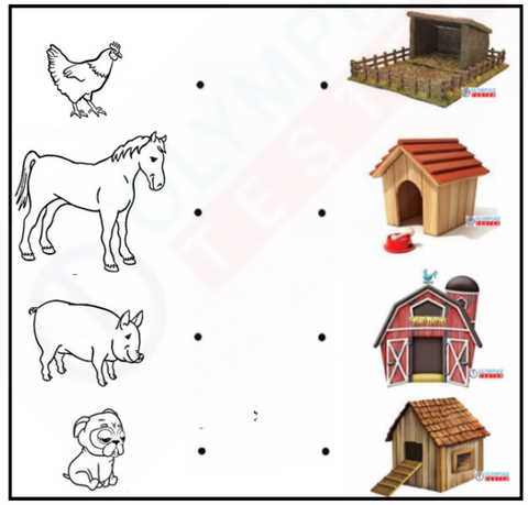 animal shelter worksheet for kindergarten