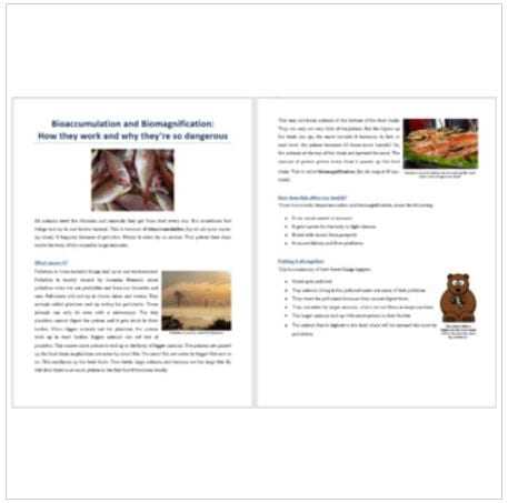 biological magnification worksheet