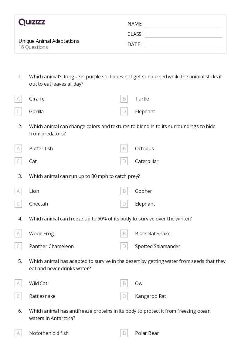 adaptations worksheet
