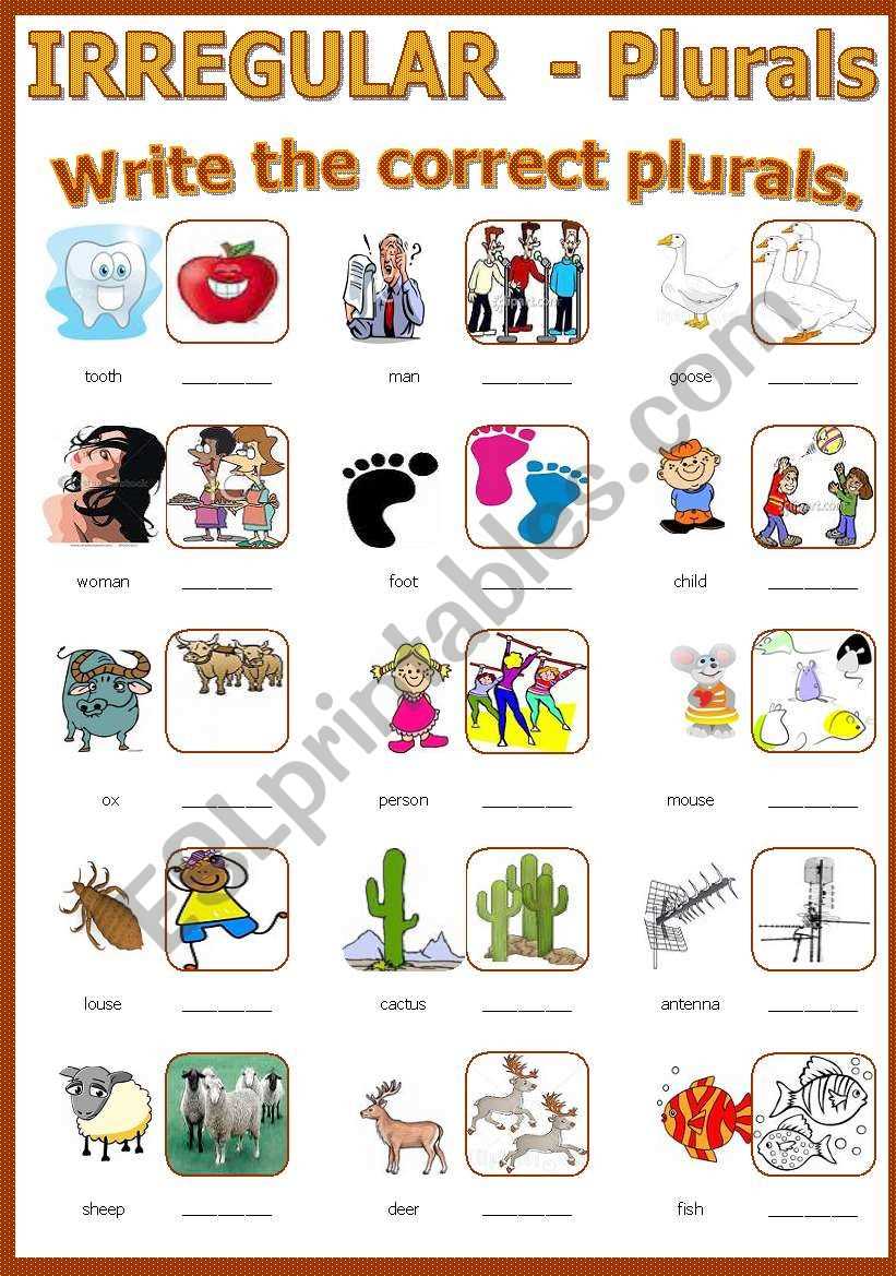 worksheets on irregular plural nouns