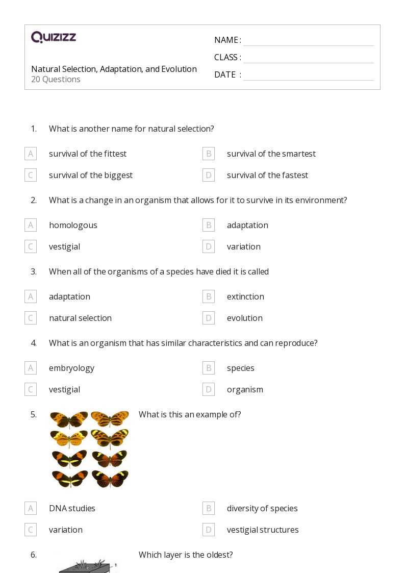 evolution and adaptation worksheet