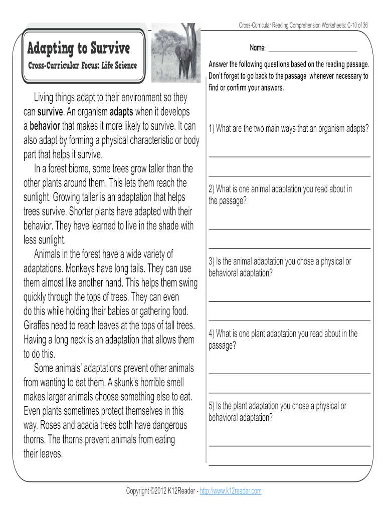 animal adaptations worksheet