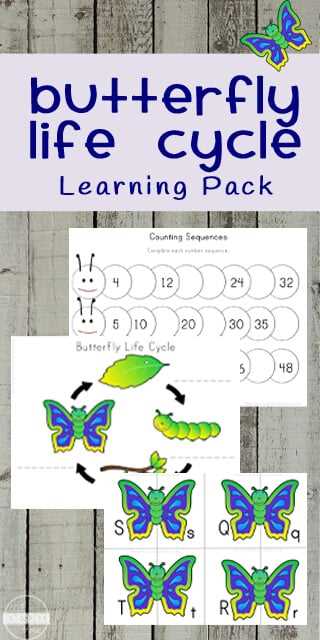 butterfly preschool worksheets