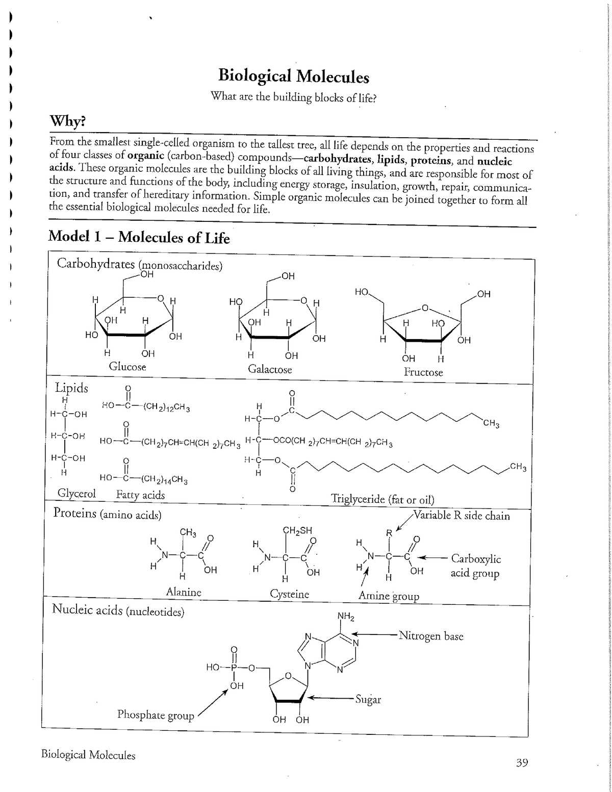 organic molecules worksheet review