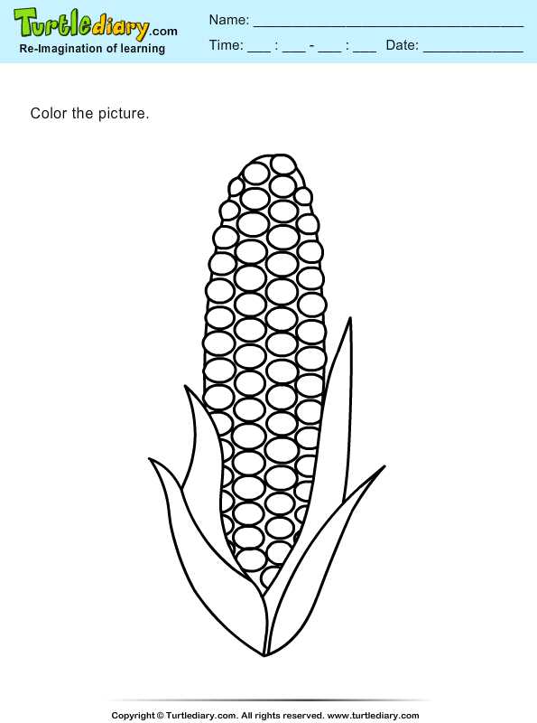 corn worksheet