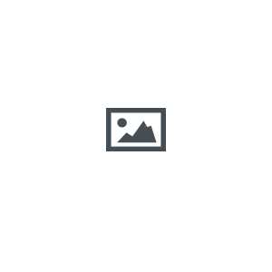worksheet on plurals