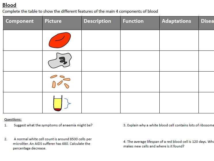 complete blood cell count worksheet