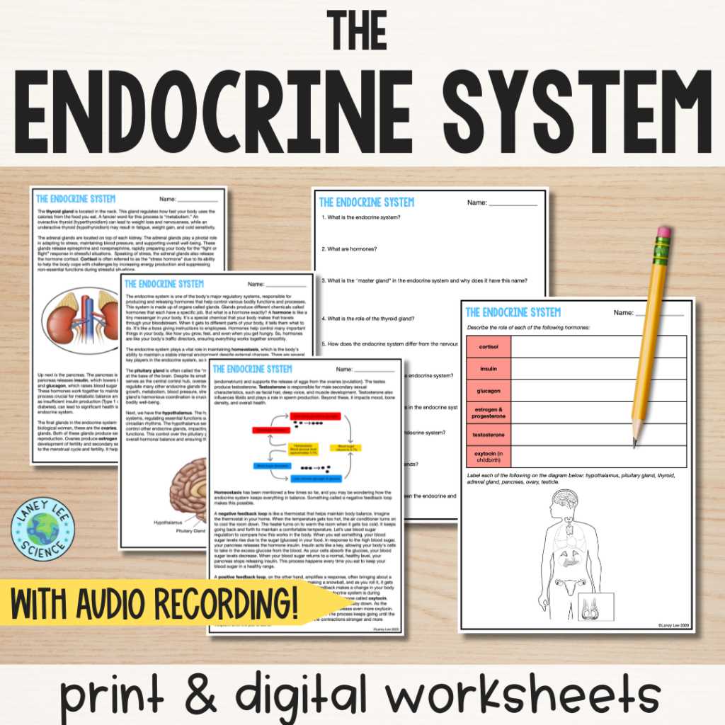 worksheets on endocrine system