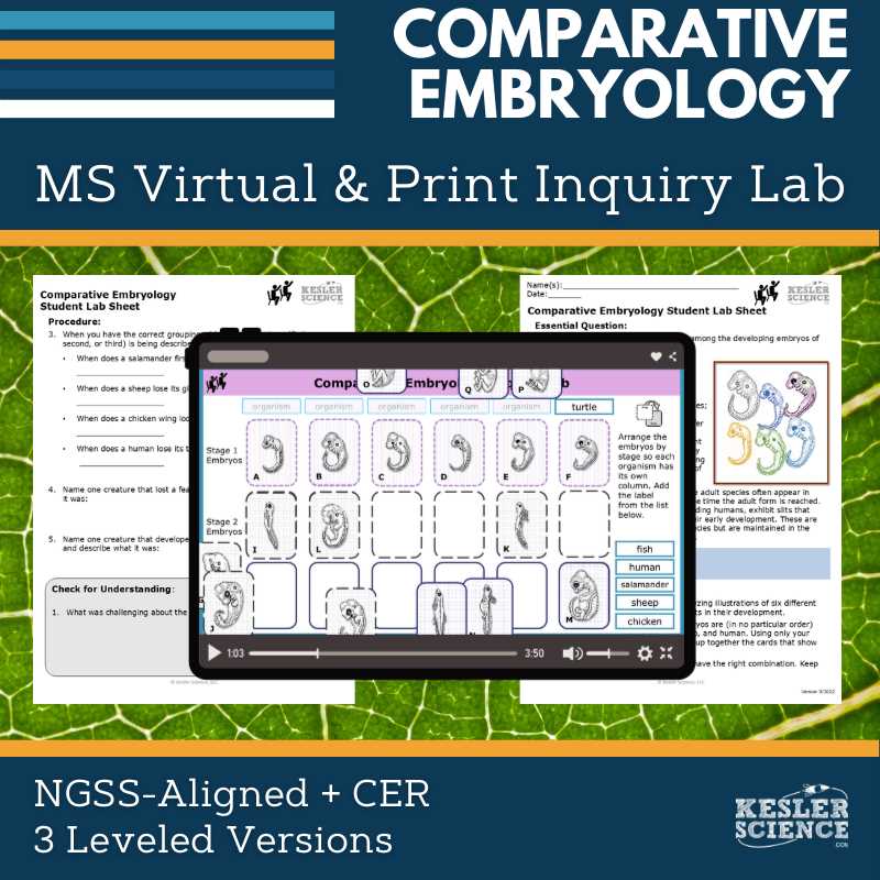 comparative embryology worksheet