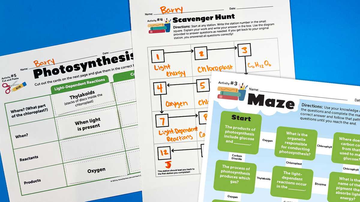 photosynthesis worksheets