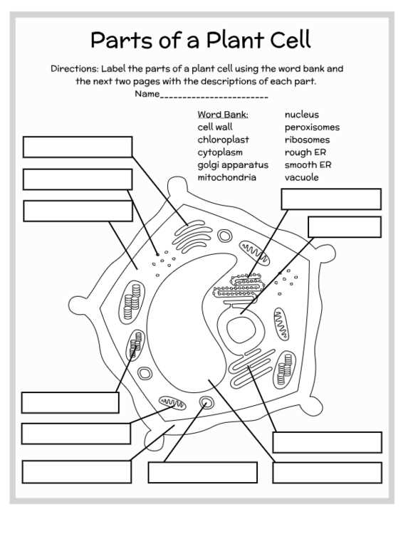 parts of plant cell worksheet